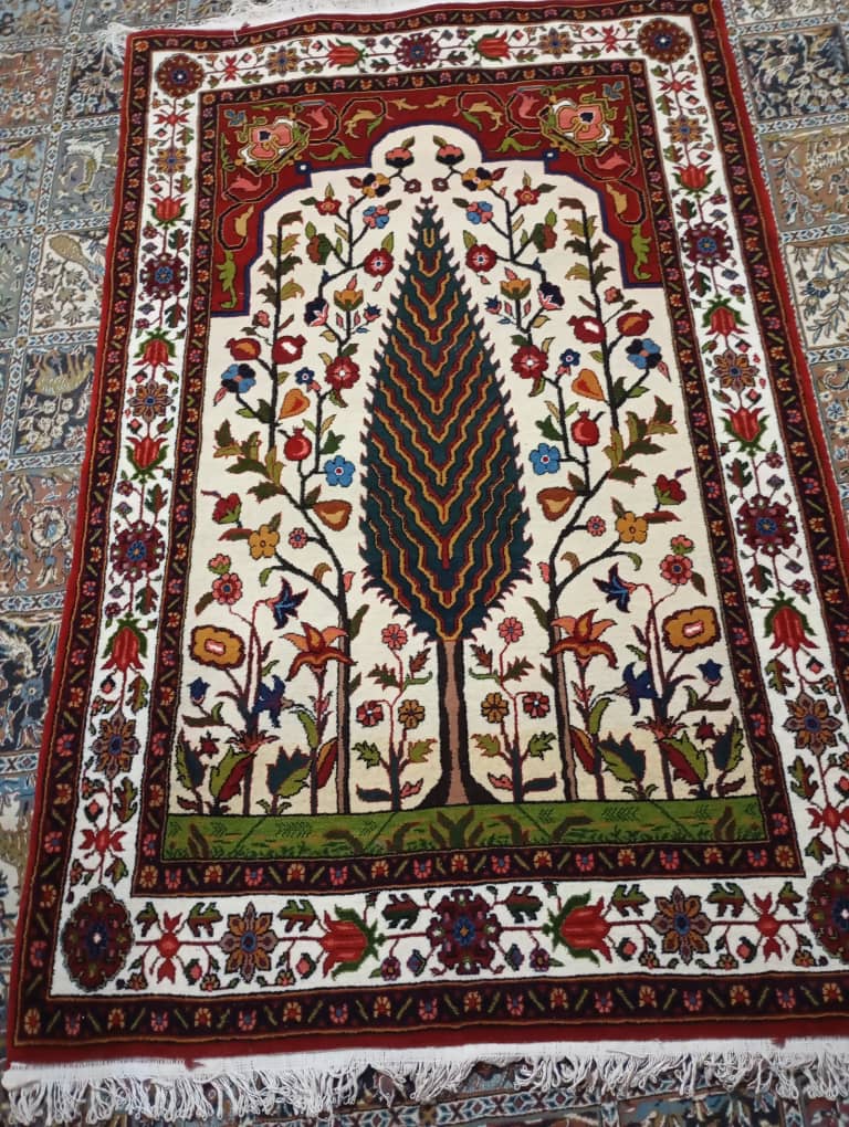 آموزشگاه تمدار طناز