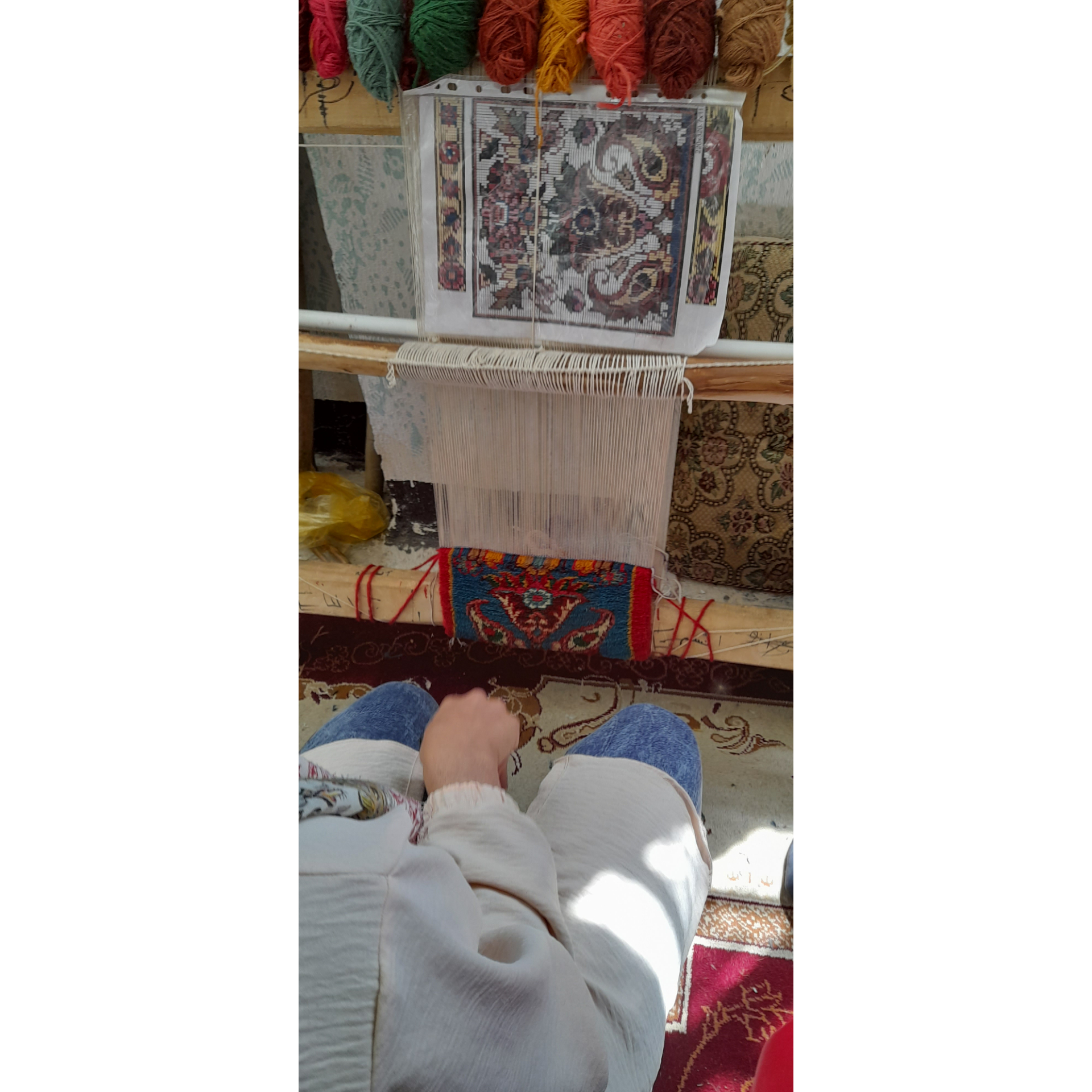 آموزشگاه تمدار طناز