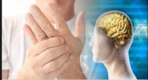 آموزشگاه بهداشت و ایمنی-ماساژ ایرانیان