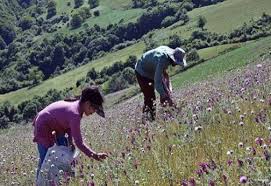 آموزشگاه هنرهای تجسمی,صنایع دستی و طلا و جواهر سازی دنیای هنر و صنعت