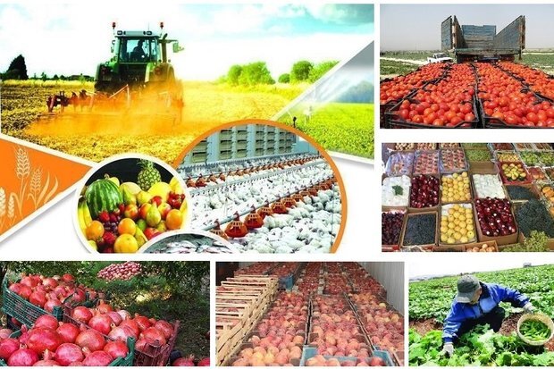 آموزشگاه زیست فناوری وارستگان مشهد